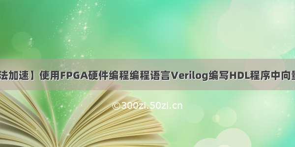 【FPGA算法加速】使用FPGA硬件编程编程语言Verilog编写HDL程序中向量的使用案例