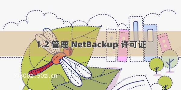 1.2 管理 NetBackup 许可证