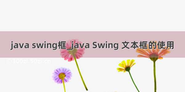 java swing框_java Swing 文本框的使用