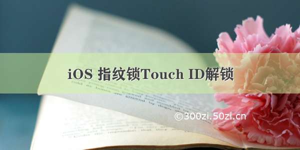 iOS 指纹锁Touch ID解锁