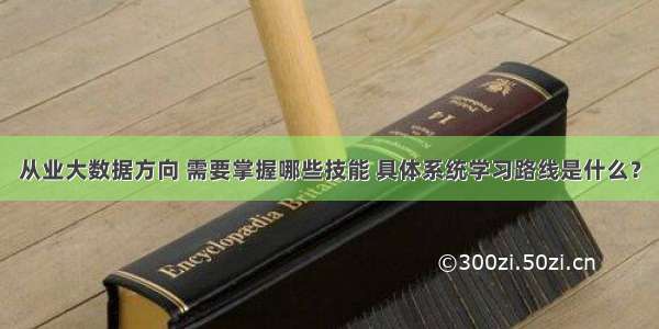 从业大数据方向 需要掌握哪些技能 具体系统学习路线是什么？