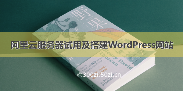 阿里云服务器试用及搭建WordPress网站