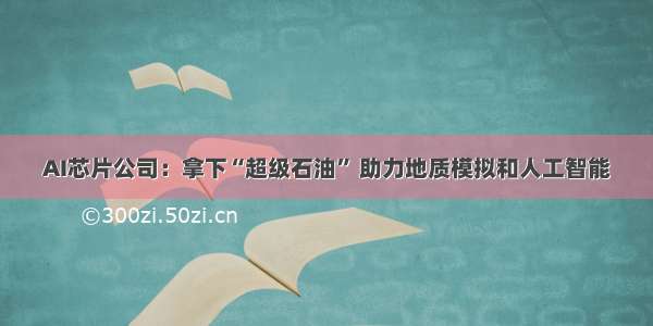 AI芯片公司：拿下“超级石油” 助力地质模拟和人工智能