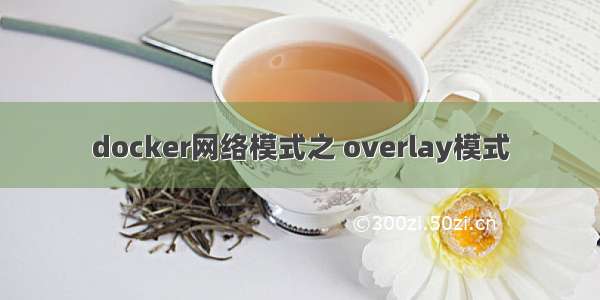 docker网络模式之 overlay模式