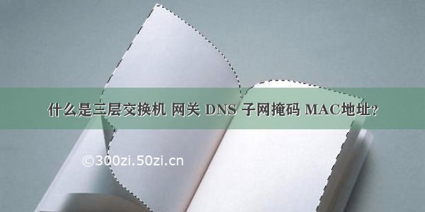 什么是三层交换机 网关 DNS 子网掩码 MAC地址？