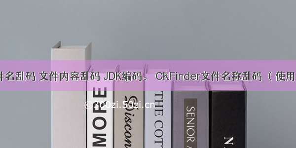 linux乱码 文件名乱码 文件内容乱码 JDK编码。 CKFinder文件名称乱码 （使用UTF-8解决）