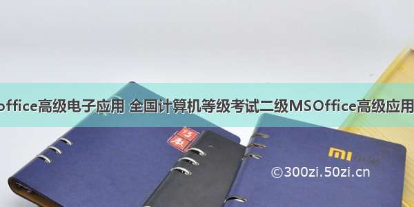 计算机二级msoffice高级电子应用 全国计算机等级考试二级MSOffice高级应用复习资料.pdf...