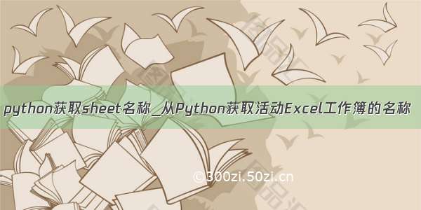 python获取sheet名称_从Python获取活动Excel工作簿的名称