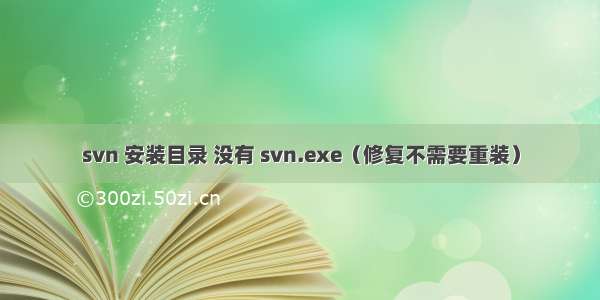 svn 安装目录 没有 svn.exe（修复不需要重装）