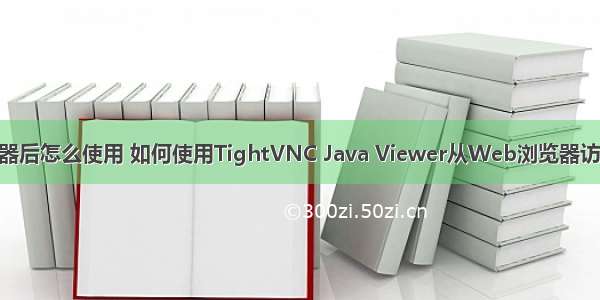 网页vnc连接服务器后怎么使用 如何使用TightVNC Java Viewer从Web浏览器访问远程VNC桌面...