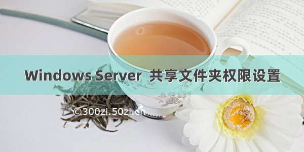 Windows Server  共享文件夹权限设置