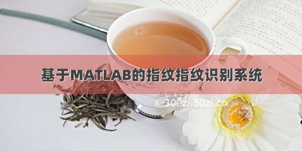 基于MATLAB的指纹指纹识别系统