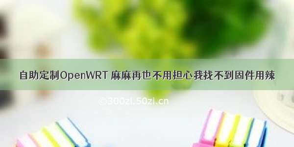 自助定制OpenWRT 麻麻再也不用担心我找不到固件用辣