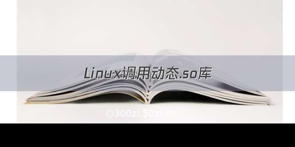 Linux调用动态.so库