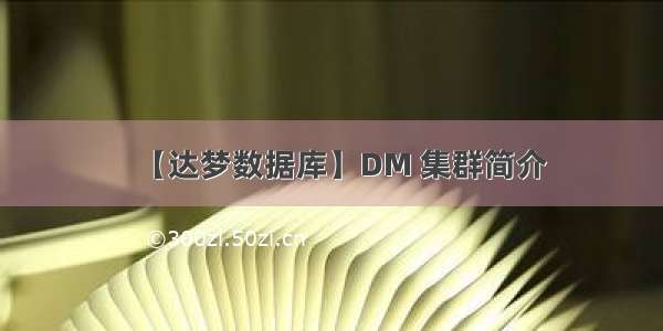 【达梦数据库】DM 集群简介