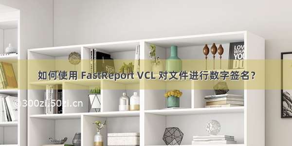 如何使用 FastReport VCL 对文件进行数字签名？