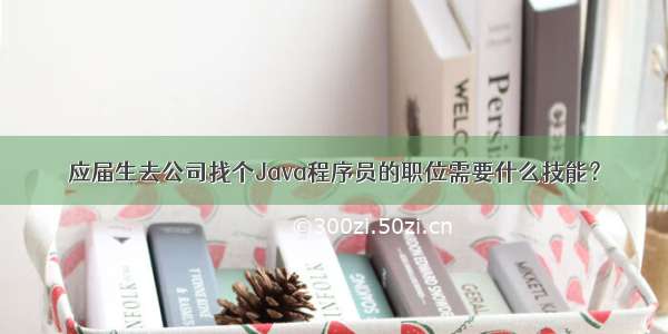 应届生去公司找个Java程序员的职位需要什么技能？