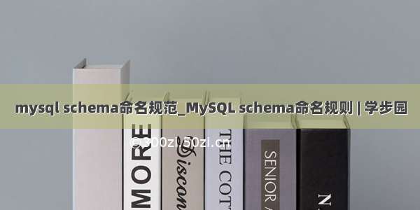 mysql schema命名规范_MySQL schema命名规则 | 学步园