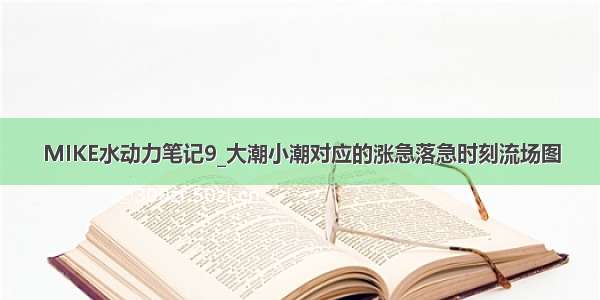 MIKE水动力笔记9_大潮小潮对应的涨急落急时刻流场图