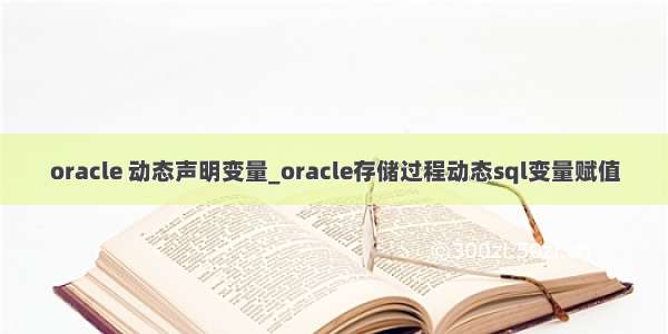 oracle 动态声明变量_oracle存储过程动态sql变量赋值