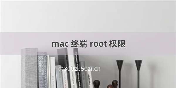 mac 终端 root 权限