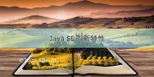 Java SE 7 新特性