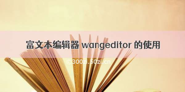 富文本编辑器 wangeditor 的使用