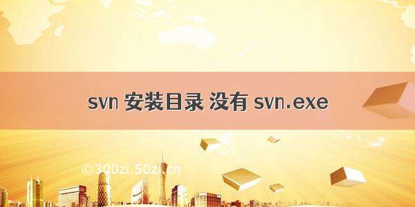 svn 安装目录 没有 svn.exe