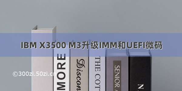 IBM X3500 M3升级IMM和UEFI微码