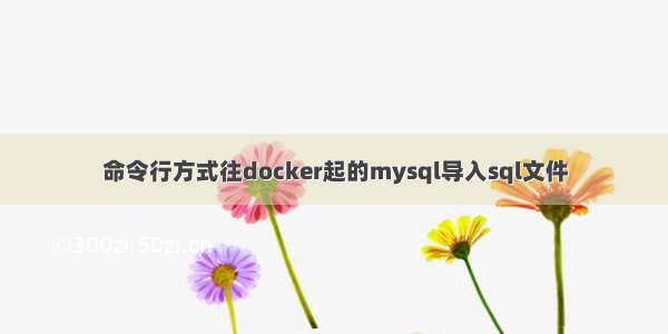 命令行方式往docker起的mysql导入sql文件