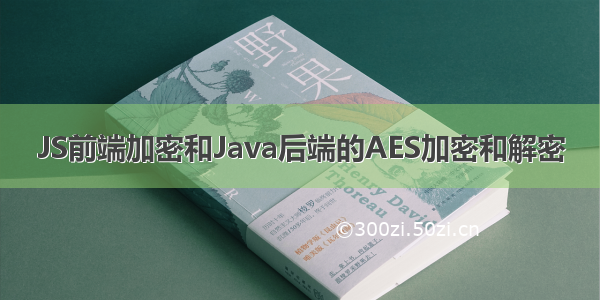 JS前端加密和Java后端的AES加密和解密