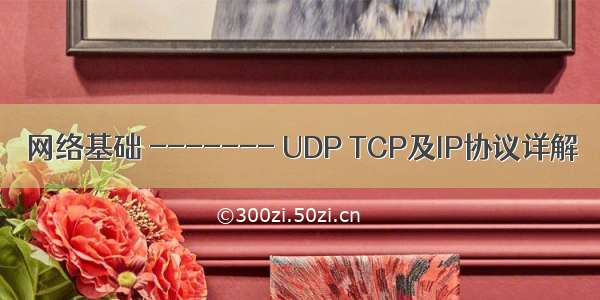 网络基础 ------- UDP TCP及IP协议详解