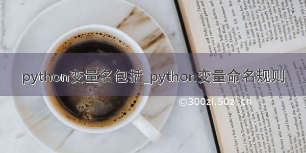 python变量名包括_python变量命名规则