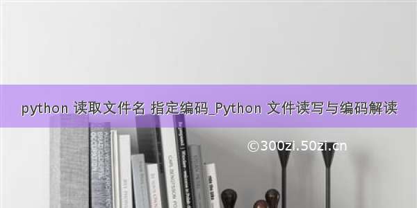 python 读取文件名 指定编码_Python 文件读写与编码解读