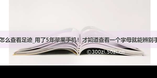 苹果手机怎么查看足迹_用了5年苹果手机！才知道查看一个字母就能辨别手机真假...