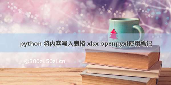 python 将内容写入表格 xlsx openpyxl使用笔记