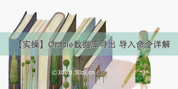 【实操】Oracle数据库导出 导入命令详解