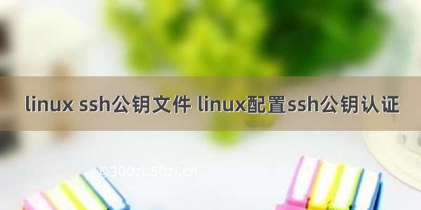 linux ssh公钥文件 linux配置ssh公钥认证