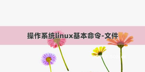 操作系统linux基本命令-文件