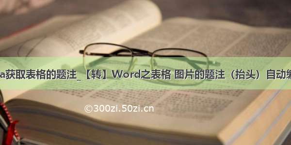 java获取表格的题注_【转】Word之表格 图片的题注（抬头）自动编号