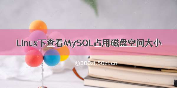 Linux下查看MySQL占用磁盘空间大小