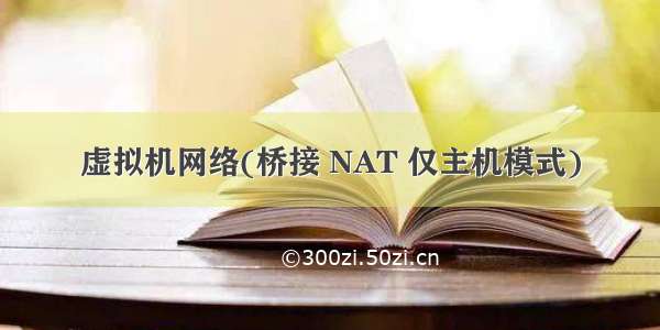 虚拟机网络(桥接 NAT 仅主机模式)