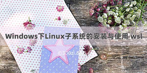 Windows下Linux子系统的安装与使用 wsl