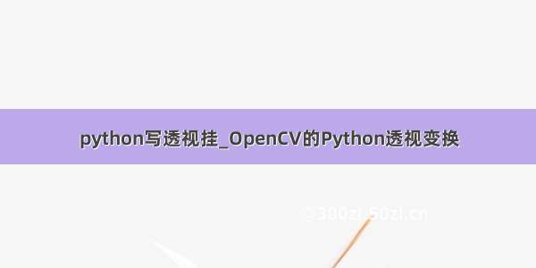 python写透视挂_OpenCV的Python透视变换