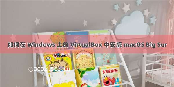 如何在 Windows 上的 VirtualBox 中安装 macOS Big Sur