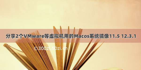 分享2个VMware等虚拟机用的Macos系统镜像11.5 12.3.1