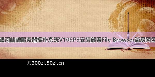 银河麒麟服务器操作系统V10SP3安装部署File Browser简易网盘