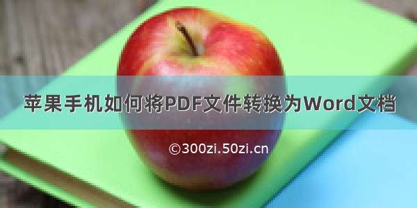 苹果手机如何将PDF文件转换为Word文档