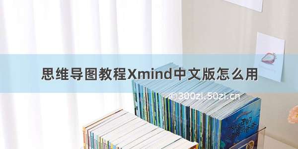 思维导图教程Xmind中文版怎么用