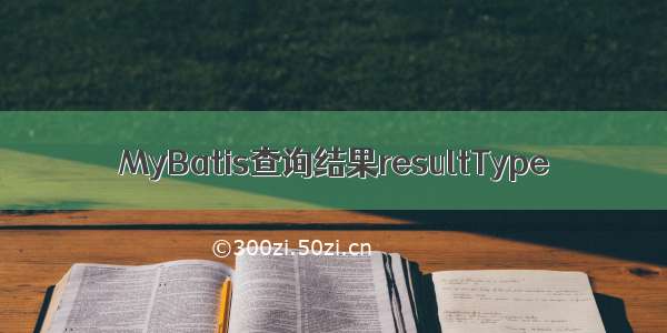 MyBatis查询结果resultType